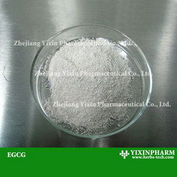 EGCG與植物提取物的關(guān)系及其應(yīng)用價值