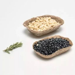 綠色革命新浪潮 那些讓你大開眼界的植物提取環保黑科技