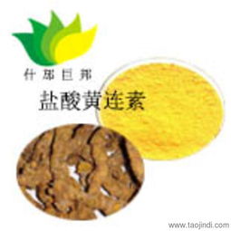 巨邦供應小檗堿黃連素 天然香料的健康之選